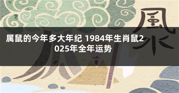 属鼠的今年多大年纪 1984年生肖鼠2025年全年运势