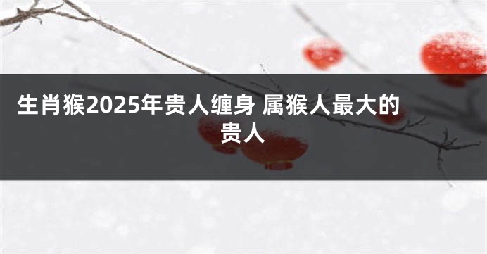 生肖猴2025年贵人缠身 属猴人最大的贵人