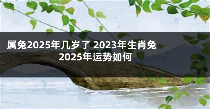 属兔2025年几岁了 2023年生肖兔2025年运势如何