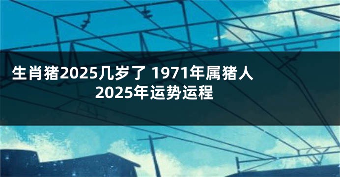 生肖猪2025几岁了 1971年属猪人2025年运势运程