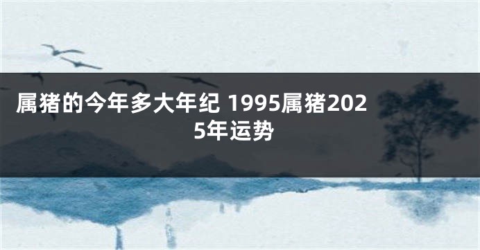 属猪的今年多大年纪 1995属猪2025年运势