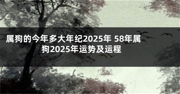 属狗的今年多大年纪2025年 58年属狗2025年运势及运程