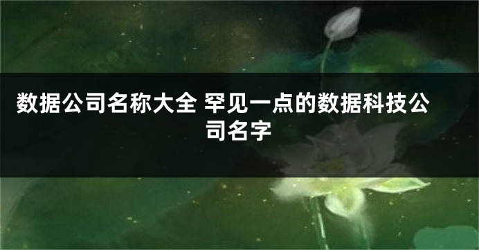 数据公司名称大全 罕见一点的数据科技公司名字