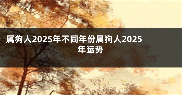 属狗人2025年不同年份属狗人2025年运势