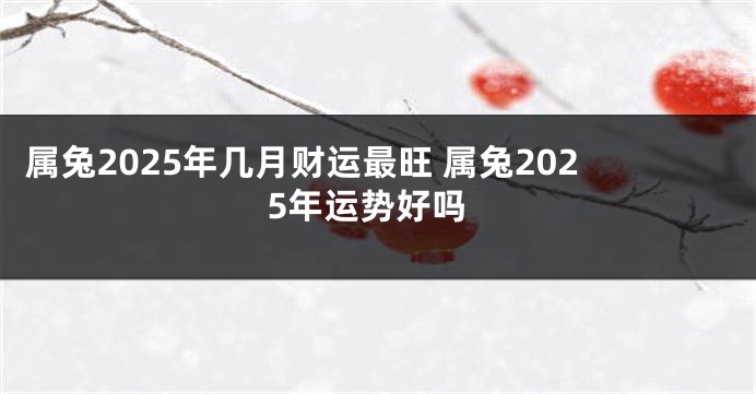 属兔2025年几月财运最旺 属兔2025年运势好吗