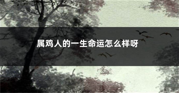 属鸡人的一生命运怎么样呀