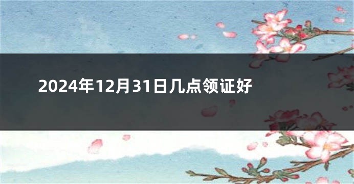 2024年12月31日几点领证好