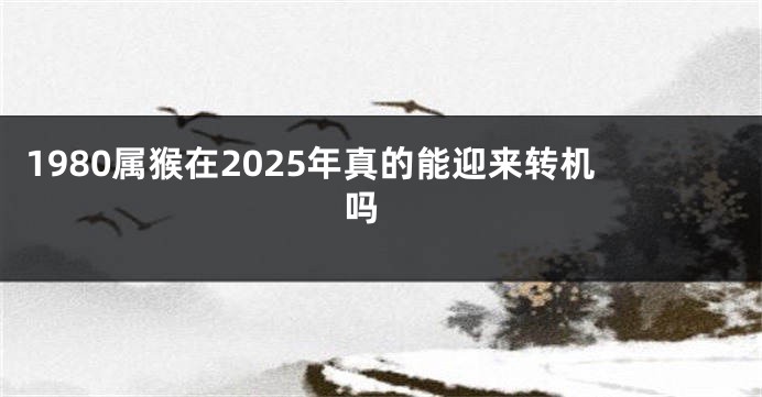 1980属猴在2025年真的能迎来转机吗 