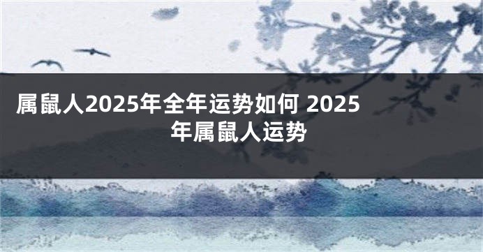属鼠人2025年全年运势如何 2025年属鼠人运势