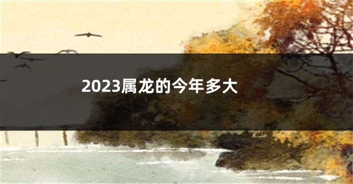 2023属龙的今年多大