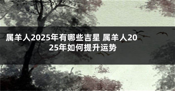 属羊人2025年有哪些吉星 属羊人2025年如何提升运势