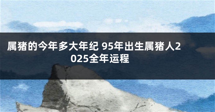 属猪的今年多大年纪 95年出生属猪人2025全年运程
