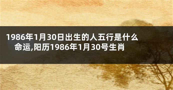 1986年1月30日出生的人五行是什么命运,阳历1986年1月30号生肖