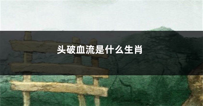头破血流是什么生肖