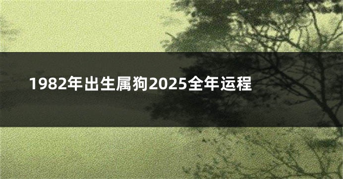 1982年出生属狗2025全年运程