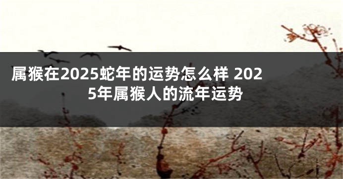 属猴在2025蛇年的运势怎么样 2025年属猴人的流年运势