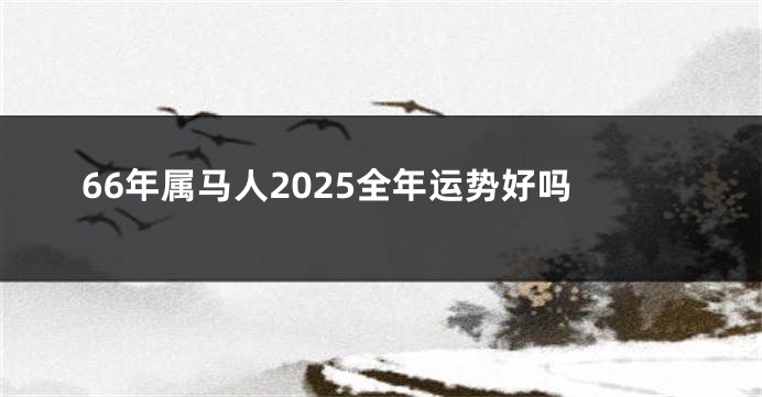 66年属马人2025全年运势好吗