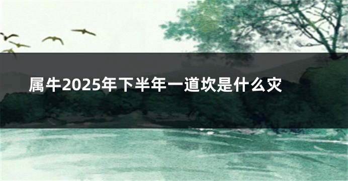 属牛2025年下半年一道坎是什么灾