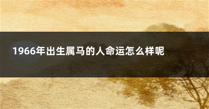 1966年出生属马的人命运怎么样呢 