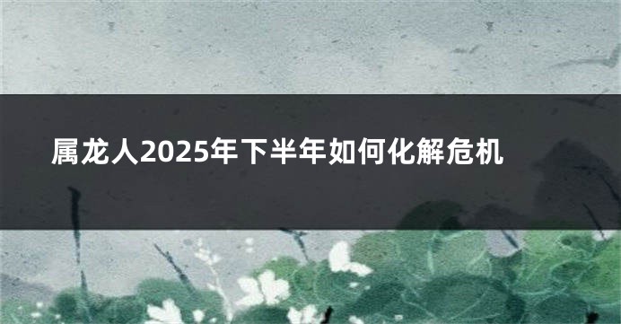 属龙人2025年下半年如何化解危机