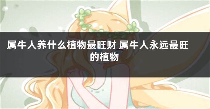 属牛人养什么植物最旺财 属牛人永远最旺的植物