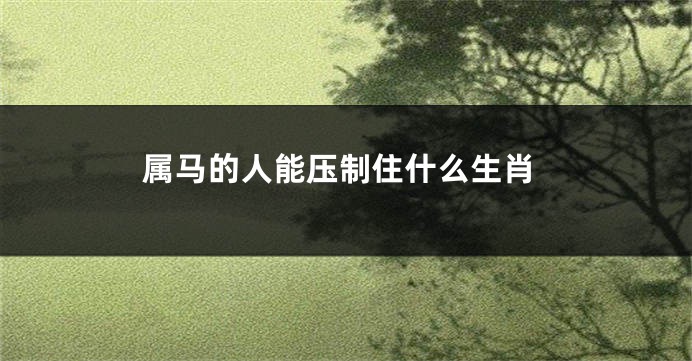 属马的人能压制住什么生肖