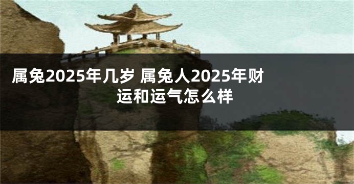 属兔2025年几岁 属兔人2025年财运和运气怎么样