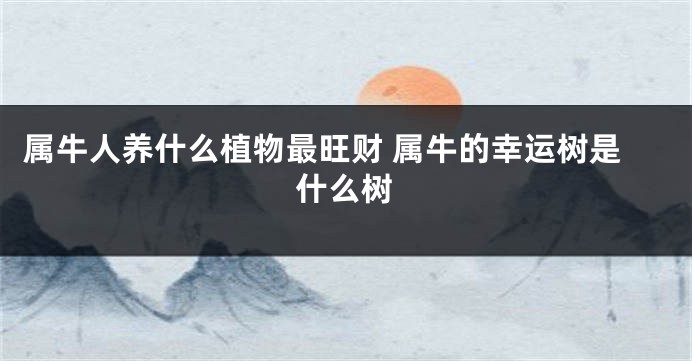 属牛人养什么植物最旺财 属牛的幸运树是什么树