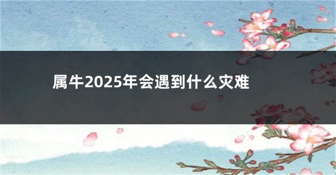 属牛2025年会遇到什么灾难