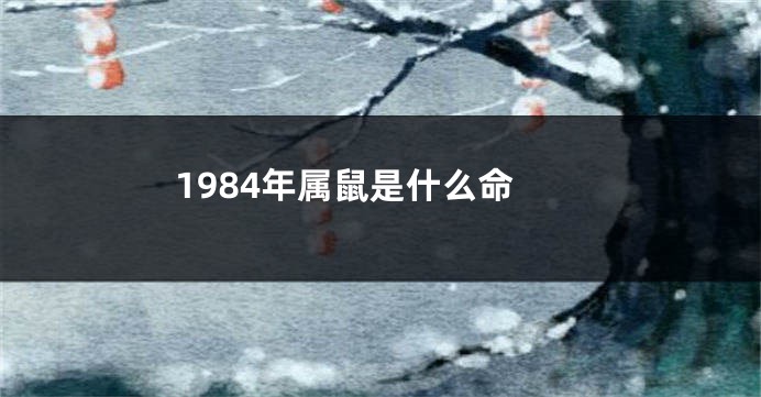 1984年属鼠是什么命