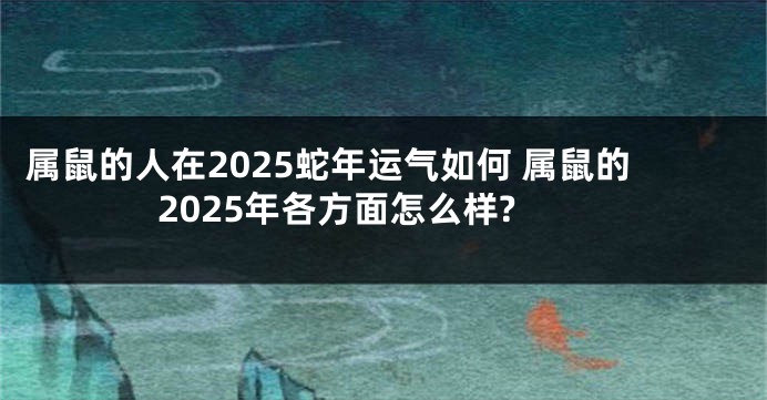 属鼠的人在2025蛇年运气如何 属鼠的2025年各方面怎么样?