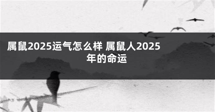 属鼠2025运气怎么样 属鼠人2025年的命运
