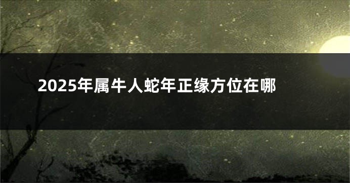 2025年属牛人蛇年正缘方位在哪