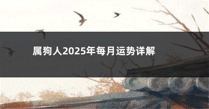 属狗人2025年每月运势详解