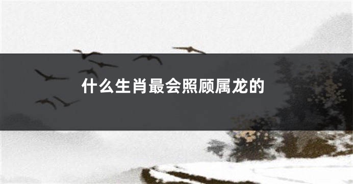 什么生肖最会照顾属龙的