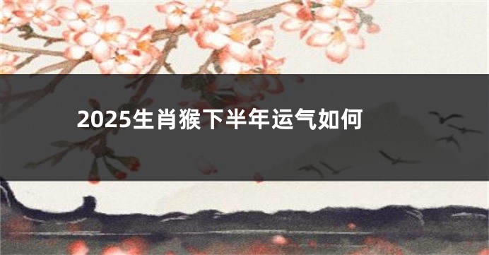 2025生肖猴下半年运气如何
