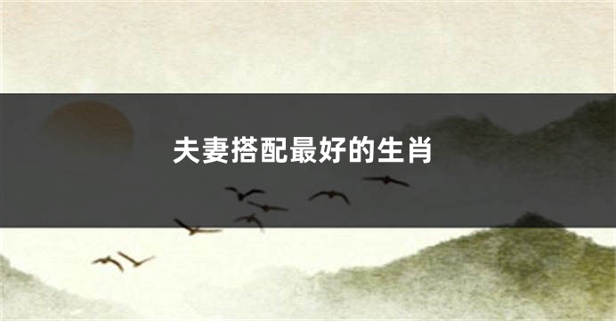 夫妻搭配最好的生肖