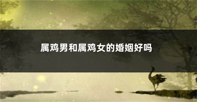 属鸡男和属鸡女的婚姻好吗