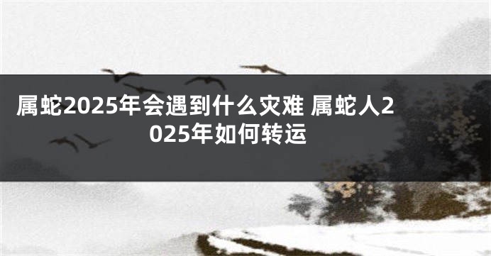 属蛇2025年会遇到什么灾难 属蛇人2025年如何转运