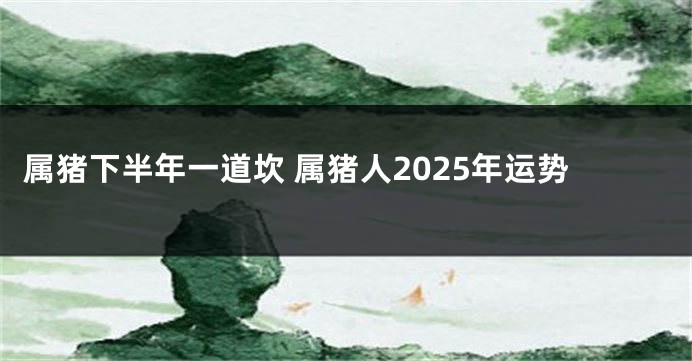 属猪下半年一道坎 属猪人2025年运势