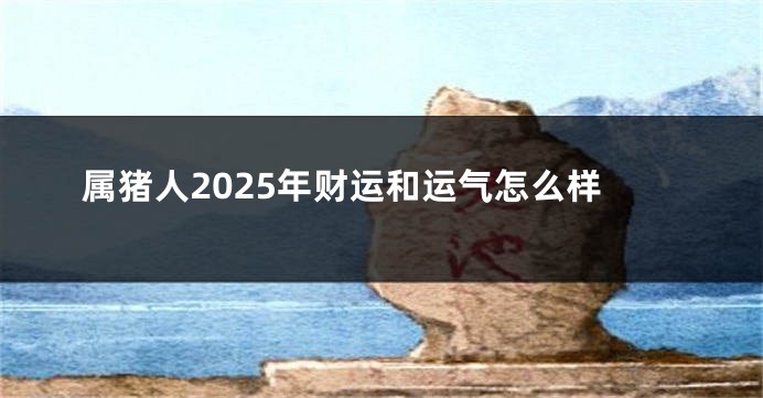 属猪人2025年财运和运气怎么样