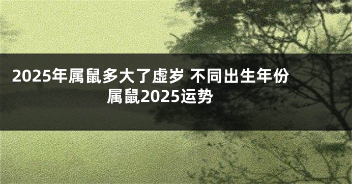 2025年属鼠多大了虚岁 不同出生年份属鼠2025运势