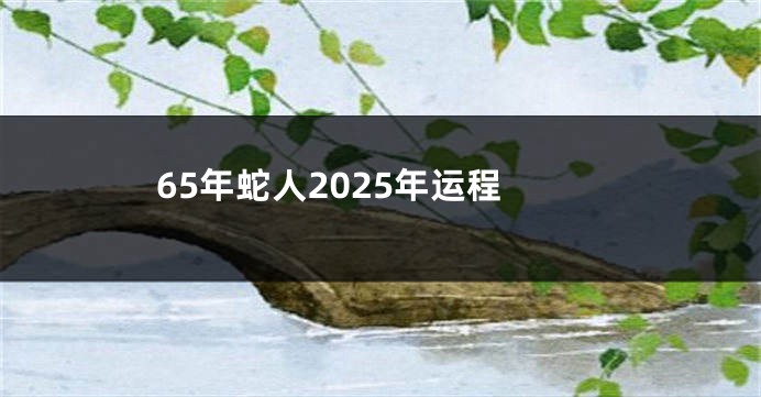 65年蛇人2025年运程