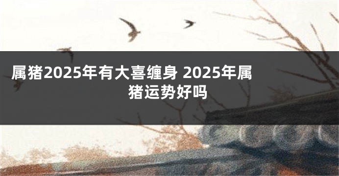 属猪2025年有大喜缠身 2025年属猪运势好吗