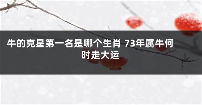 牛的克星第一名是哪个生肖 73年属牛何时走大运