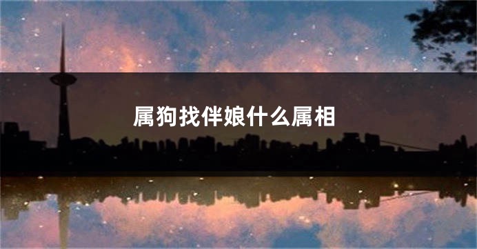 属狗找伴娘什么属相