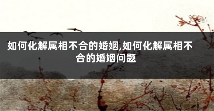 如何化解属相不合的婚姻,如何化解属相不合的婚姻问题