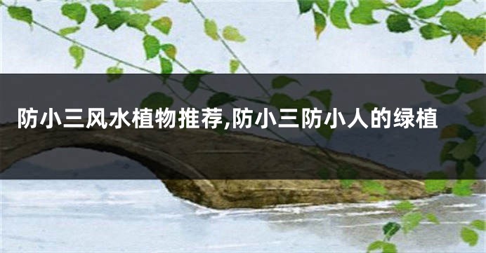 防小三风水植物推荐,防小三防小人的绿植