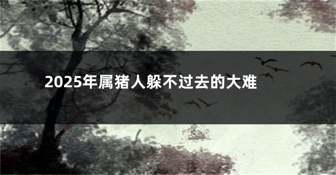 2025年属猪人躲不过去的大难