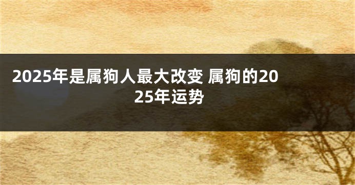 2025年是属狗人最大改变 属狗的2025年运势